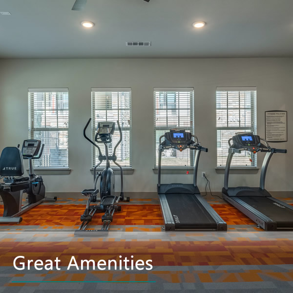 Features & Amenities