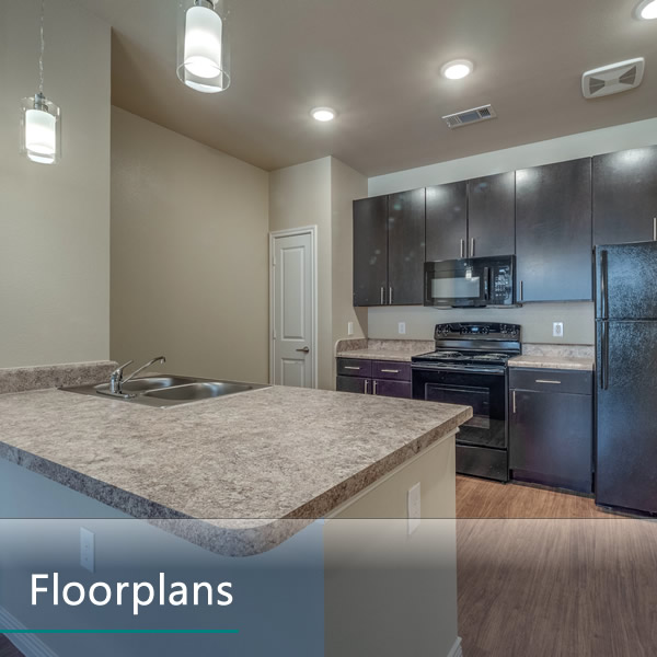 Spacious Floor Plans